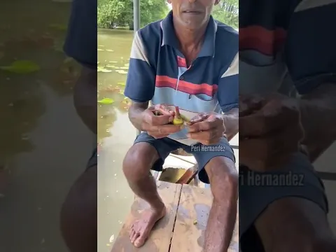 Videos que harán olvidar tu tristeza parte 2.