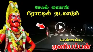 சேலம் பைபாஸில் இரவு நேரங்களில் உலாவரும் வெண்ணங்குடி முனியப்பன் !