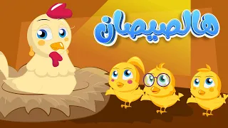 هالصيصان 🐥🐥 شو حلوين  ساعتين  من أغنية الأطفال الجميلة 2024 دوت كوكو