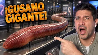 REACCIONO a los VIDEOS más RAROS de Internet 😱 (¡Gusano de 8 metros!)