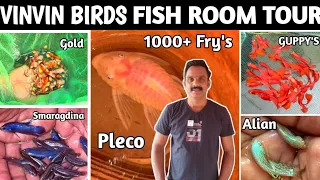 My Fish Room Tour 2025