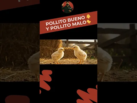 Pollito bueno 🐥 y pollito malo 🐤