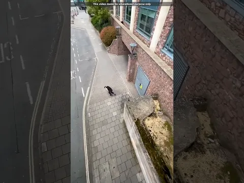 unbelievable human spider in real LIFE #shortsvideo