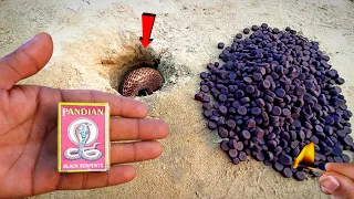 ₹ 1000 SNAKE BOMB 🐍 ~at Once Time Fire Crackers Testing in Diwali 2024 // Cracker Testing 2024
