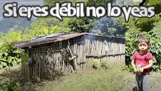 El video que te partirá el corazón, mejor no lo veas si eres débil – Ediciones Mendoza