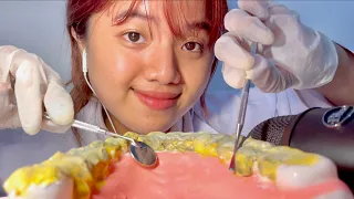 ASMR Dentist Clean Your Teeth 🧑🏻‍⚕️🦷 (role play)