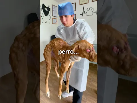 si los números de redes sociales se usan bien, pueden lograse cosas enormes!