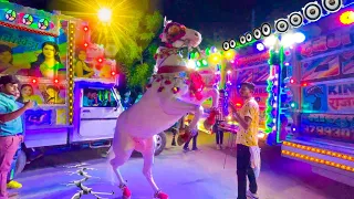 10डीजे ओर ताबडतोड घोडी - परफ्यूम लगावै चून्नी में !! Perfume lgawe Chunni me !! Viral Song 2024