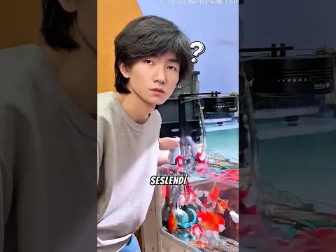Yanlışlıkla Bütün Yemi Tanka Döktü! 😱 #shorts