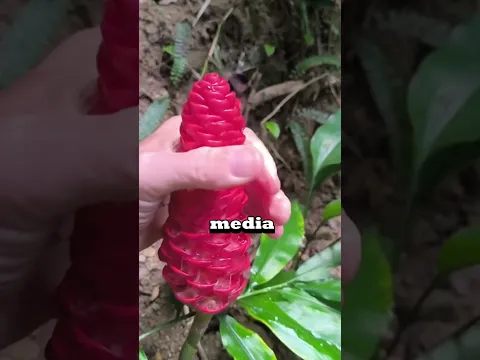Do not SQUEEZE this flower! 😱