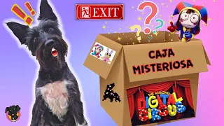 ¡CAJA MISTERIOSA! The Amazing Digital Circus! 🤡 Lana