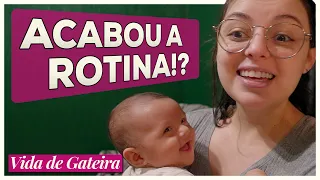 Vida de Mãe Gateira | VIDA DE GATEIRA #26