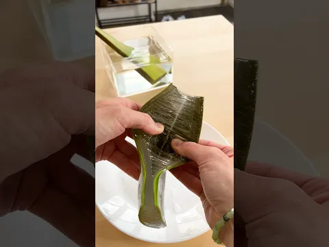 Voici l’intérieur d’une feuille d’Aloe Vera ! #shorts