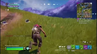 Fortnite Victory Shenanigans
