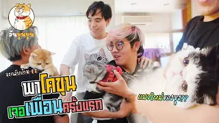 จับโคขุนไปเจอ แมว (วันขุนขุนEp.2)