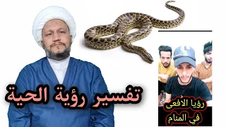 تفسير رؤية الحية في المنام