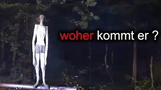 15 unheimliche Begegnungen: Was lauert im Wald?