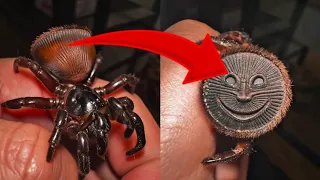 Cuando la Naturaleza Sorprende: Escenas de Fauna que Muy Pocos Han Visto 🌎🔥