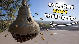 Someone SHOT These Bees!
