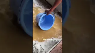 fábrica de suco de caju na Índia