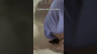 Kindness knows no borders… (Gemma’s Story)