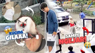 5 KORBAN😨‼️KENA SERANG JOYA