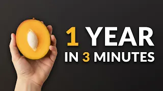 I Grew A Mango Tree From Seed And Filmed It For 1 YEAR