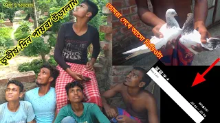😭পায়রা উড়িয়ে  যা হলো😭/kabootar racer video🤦 #akashnewblog #kabootar #part2