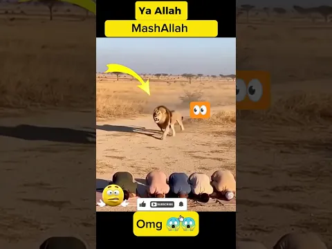 MashAllah 💪🕋💚 Respect..#shorts #allah #muhammad #mecca #madina #moosatv #masjid #Masmediainfo