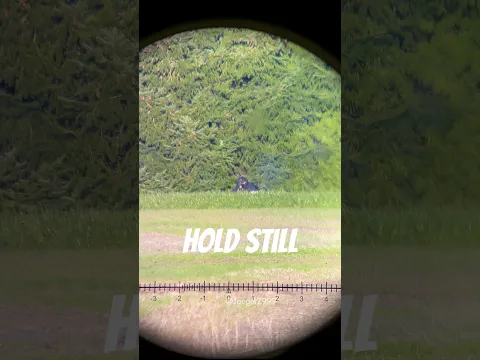 POV: You’ve Spotted a Sniper