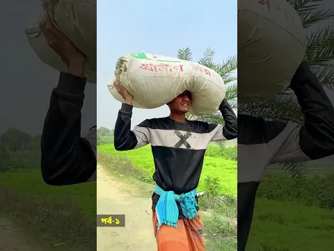 চুরি করার পদ্ধতি দেখুন