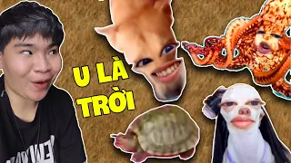 TRÀO LƯU CỰC HÀI KHI VẠN VẬT BIẾT NÓI - BURON REACTION