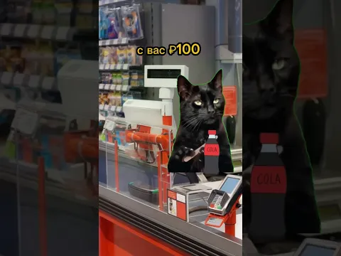 Типичный случай на кассе🥲#котики #мем #Фрет