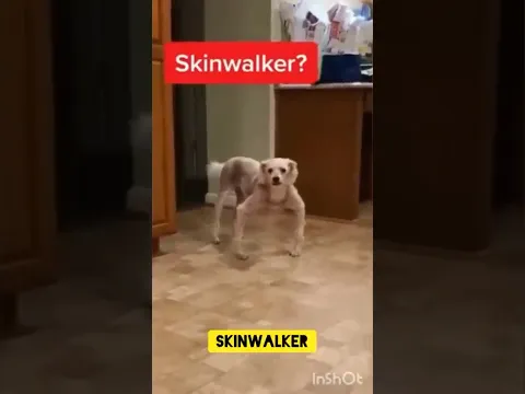¿Es un SKINWALKER? 💀 #skinwalker #miedo #shorts