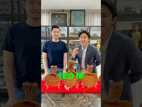 #กระเพาะปลา #ปลาหายาก #อาหาร