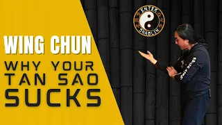 Why Your Wing Chun Tan Sao Is Wrong