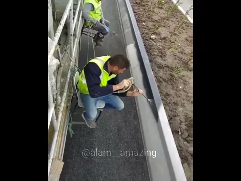 Like a Boss! Rate this Amazing workers from 1/10 #likeaboss #respect