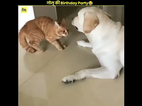 गोलू की Birthday Party😂|| #shorts #youtubeshorts