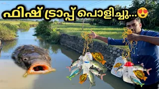 പിടിച്ച മീൻ എല്ലാം മോൺസ്റ്റേഴ്സിനു സ്വന്തം...😍 | catching fish using bottle  trap | arapaima | gar