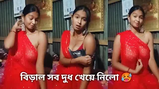 বিড়াল সব দুধ খেয়ে নিলো 🥵 #dailyvlog #lifestylevlog #banglavlog #riyavlogs