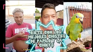 Ríete con los mejores chistes de Papilo y la chikys | Con ChamoCristian Parte II