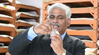 Hing Business Ideas! हींग कैसे बनती है? Small Business Ideas!