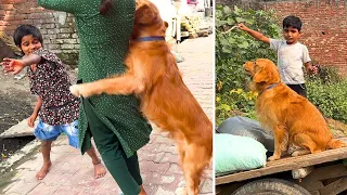 PeaNut Ne Liya Horse Se Panga Or Dar Gaya | The PeaNut Vlogs