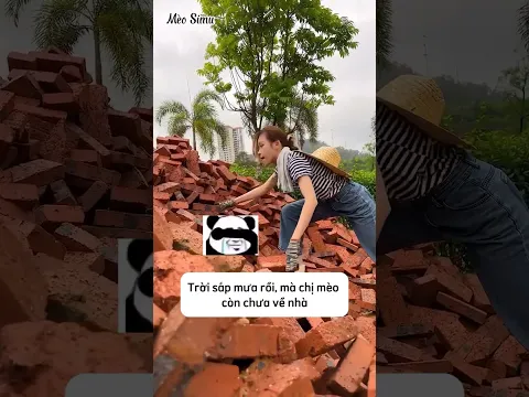 Chú chó thông minh mua sầu riêng cho chị gái #shorts