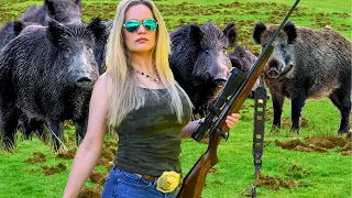 POINT BLANK: 6.5 Creedmoor vs. Giant Boar (No Talking)
