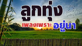 ลูกทุ่งเพลงเพราะอยู่นา คัดมาพิเศษ