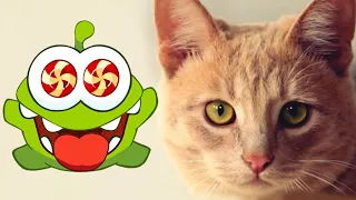 Om Nom Stories: Om Nom and Cat | Full Season 01 | Funny Cartoons For Babies