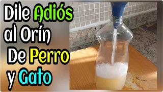 Dile adiós a la orina De Perros y Gatos Con este Truco Casero|Ambientador Casero.