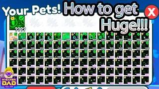 How to get Huge Pets in Pet Simulator X I have 800 Huge and Banana Pet