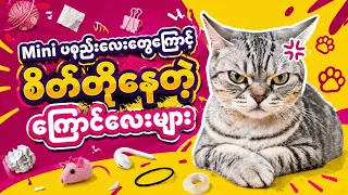 Lovely Cats